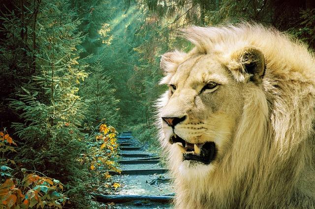 How to Watch Braves vs. Padres: TV Channel & Live Stream – March 27 – FOX Sports