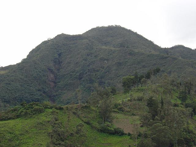 manuel-margot-signed-by-the-detroit-tigers-mlb-news-fantasy-baseball-rotoballer.jpg Manuel Margot Signed By The Detroit Tigers – MLB News | Fantasy Baseball – RotoBaller