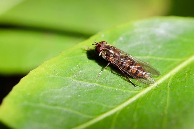 Matt McLain helps Reds rally past Giants for 1st win of season – Reuters