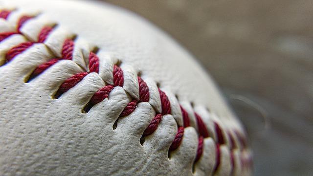 William Blount's Davis Nyitrai signs‌ with Bryan College baseball ⁢- Maryville Daily Times