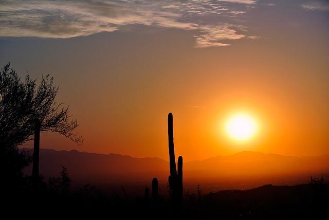 Evaluation⤠of Arizona Diamondbacks â¤2024 Draft strategy and Objectives