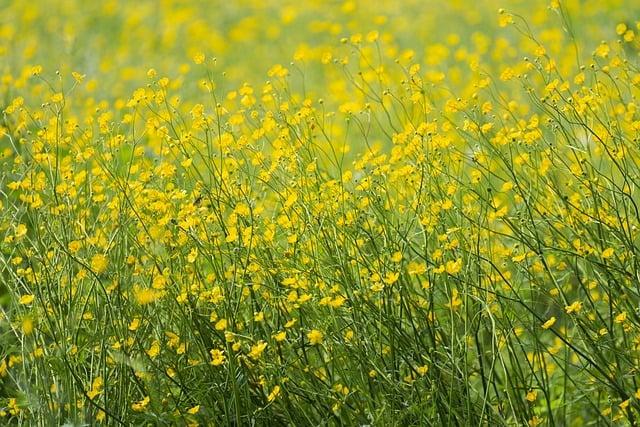 Twins swept by Cardinals; start season 0-3 for first time since 2016 – The Flag – AM 1100 and FM 92.3 WZFG