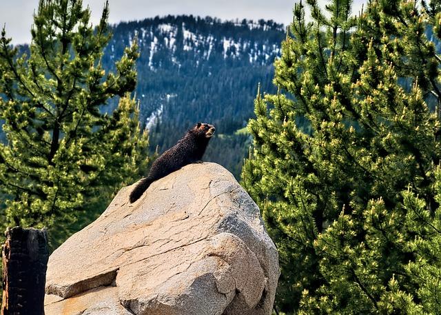 jackson-chourio-2-hrs-5-rbis-powers-brewers-past-reds-reuters.jpg Jackson Chourio (2 HRs, 5 RBIs) powers Brewers past Reds – Reuters