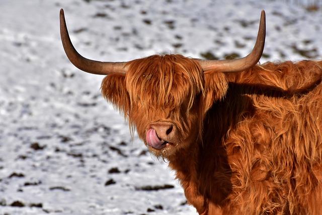 phillies-kyle-schwarber-mashes-a-462-foot-home-run-vs-braves-fox-sports.jpg Phillies’ Kyle Schwarber mashes a 462-foot home run vs. Braves – FOX Sports