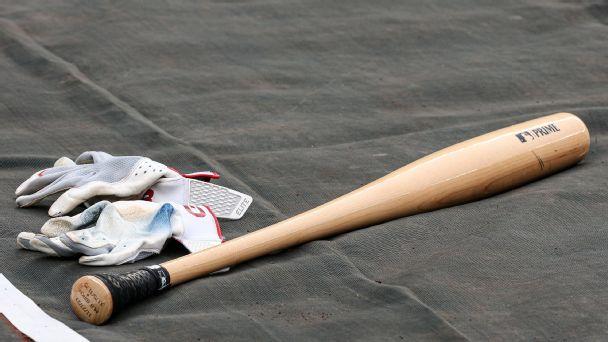 ‘It’s taken on a life of its own’: Inside the 48 hours torpedo bats launched into baseball lore – ESPN