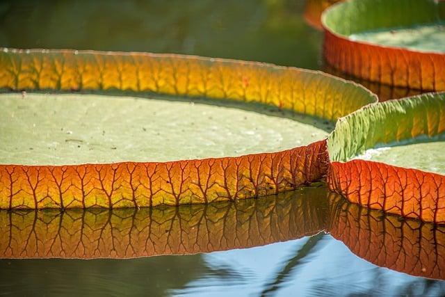 giants-roster-continuity-stands-out-most-two-weeks-into-mlb-season-nbc-sports-bay-area-california.jpg Giants’ roster continuity stands out most two weeks into MLB season – NBC Sports Bay Area & California