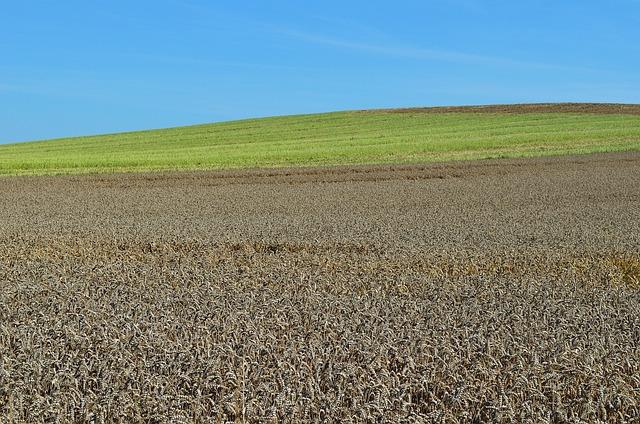ian-happ-plays-in-1000th-major-league-game-all-with-the-chicago-cubs-yahoo-sports.jpg Ian Happ plays in 1,000th major league game — all with the Chicago Cubs – Yahoo Sports