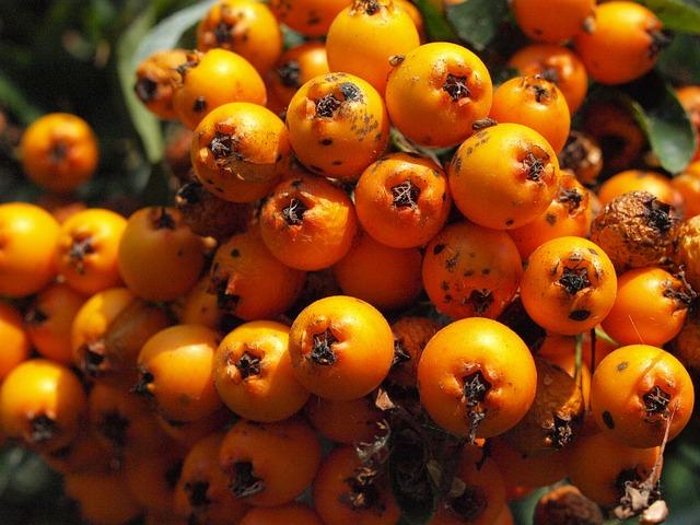 Arias hits 3-run homer to propel Guardians to 7-0 victory over Royals – Star Beacon