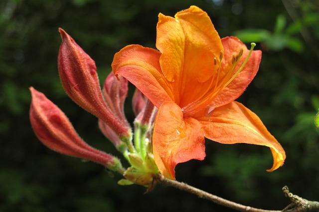 danny-jansen-homers-and-drives-in-4-runs-to-help-the-rays-to-a-6-3-win-over-the-braves-yahoo-sports.jpg Danny Jansen homers and drives in 4 runs to help the Rays to a 6-3 win over the Braves – Yahoo Sports