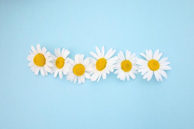 MLB releases details for the commemoration of Jackie Robinson Day in 2025 – MLB.com