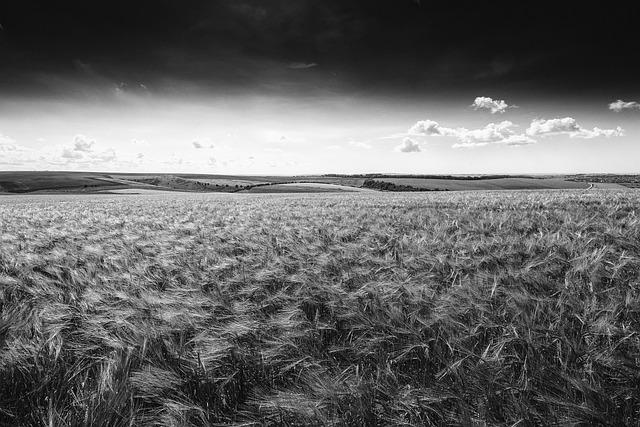 Inside my trip to Ebbets Field & why Jackie Robinson remains an important figure – Kansas City Star