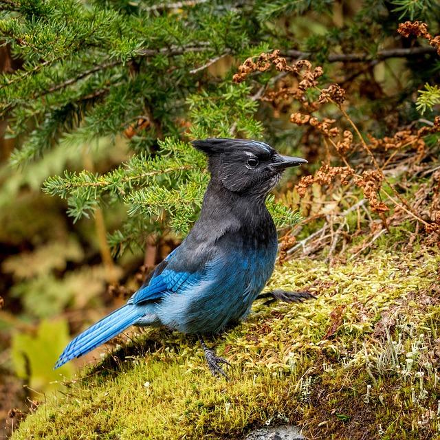 pitching-defense-help-blue-jays-overcome-mariners-reuters.jpg Pitching, defense help Blue Jays overcome Mariners – Reuters