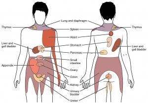 flank-discomfort-chisholm-clarifies-its-his-oblique-mlb-com.jpg ‘Flank discomfort’? Chisholm clarifies: It’s his oblique – MLB.com