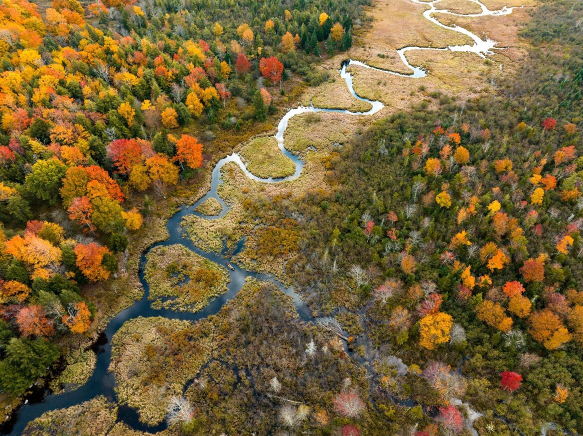 West Virginia and Pitt to Meet for Backyard Brawl – West Virginia University Athletics