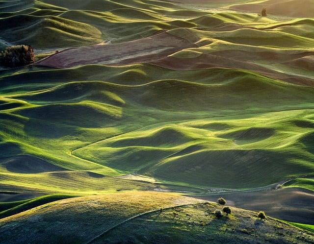 the-washington-nationals-need-a-new-hitting-coach-federal-baseball.jpg The Washington Nationals need a new hitting coach – Federal Baseball