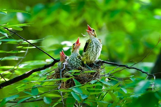orioles-sign-japanese-righty-sugano-to-1-year-contract-mlb-com.jpg Orioles sign Japanese righty Sugano to 1-year contract – MLB.com