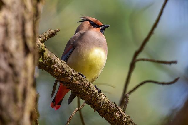 texas-rangers-academy-notebook-for-may-2-2025-corey-seager-hosts-hitting-clinic-at-texas-rangers-youth-academy-mlb-com.jpg Texas Rangers Academy Notebook for May 2, 2025: Corey Seager hosts hitting clinic at Texas Rangers Youth Academy – MLB.com