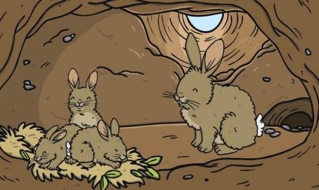 burrows-second-impression-for-bucs-goes-awry-in-rain-soaked-start-mlb-com.jpg Burrows’ second impression for Bucs goes awry in rain-soaked start – MLB.com