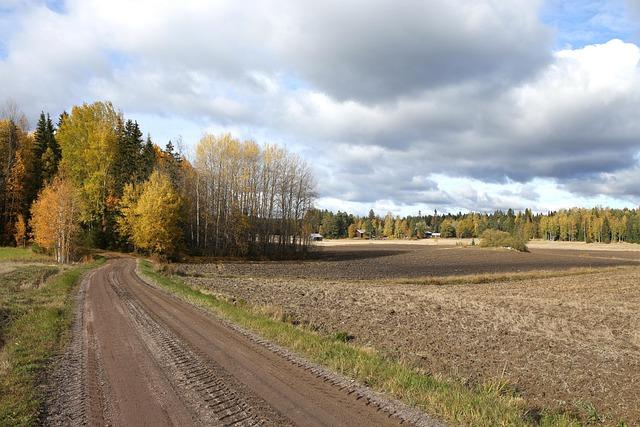 Aranda, Jansen HRs lift Rays to a 7-2 victory over Twins, extending winning streak to 6 games – The Killeen Daily Herald