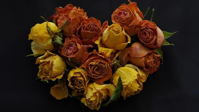 texas-rangers-fan-fest-presented-by-comerica-bank-returns-in-2025-with-a-baseball-card-show-and-wiffle-ball-home-run-derby-mlb-com.jpg Texas Rangers Fan Fest, Presented by Comerica Bank, Returns in 2025 With A Baseball Card Show And Wiffle Ball Home Run Derby – MLB.com