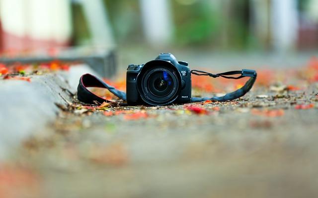 Nationals prospect Robert Hassell III hits 1st career home run – New Castle News