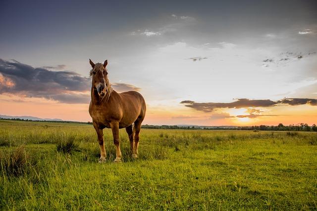 cal-raleigh-bryan-woo-shine-in-mariners-win-mlb-com.jpg Cal Raleigh, Bryan Woo shine in Mariners’ win – MLB.com