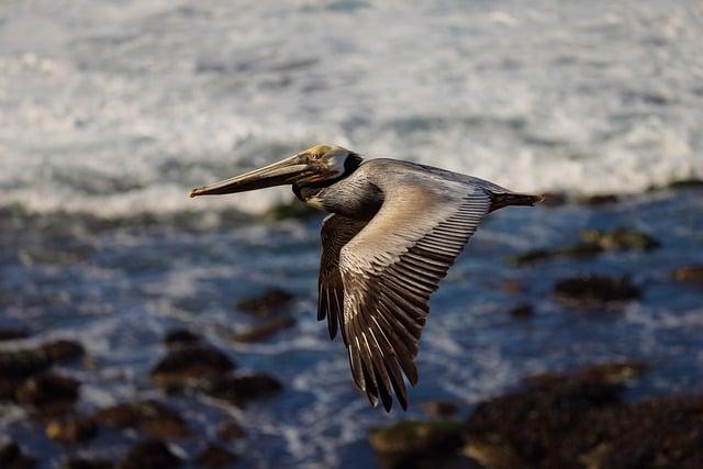 San Diego Padres at New York Yankees Preview – 05/05/2025 – MLB.com