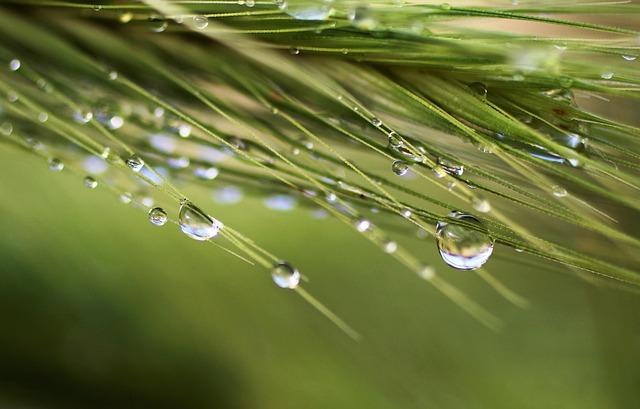 Drew Rasmussen blanks Jays for 6 innings in Rays’ win – Reuters