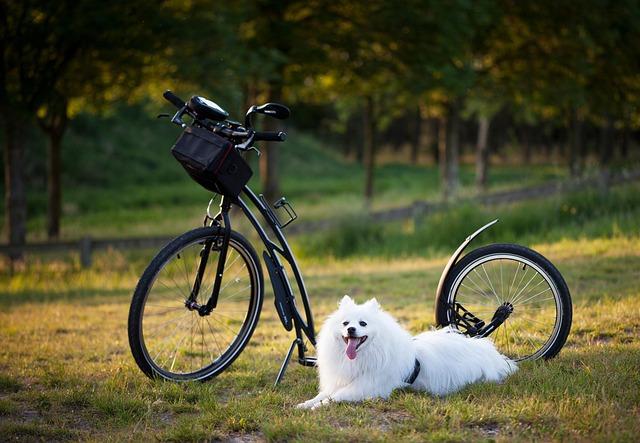 gut-punch-burnes-right-elbow-tightness-headed-for-mri-after-early-exit-mlb-com.jpg ‘Gut punch’: Burnes (right elbow tightness) headed for MRI after early exit – MLB.com