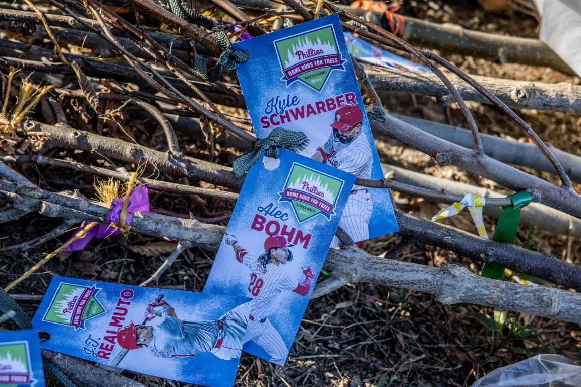 local-school-gets-home-run-for-trees-special-delivery-by-phanatic-phs-and-asplundh-mlb-com.jpg Local school gets Home Run for Trees special delivery by Phanatic, PHS and Asplundh – MLB.com