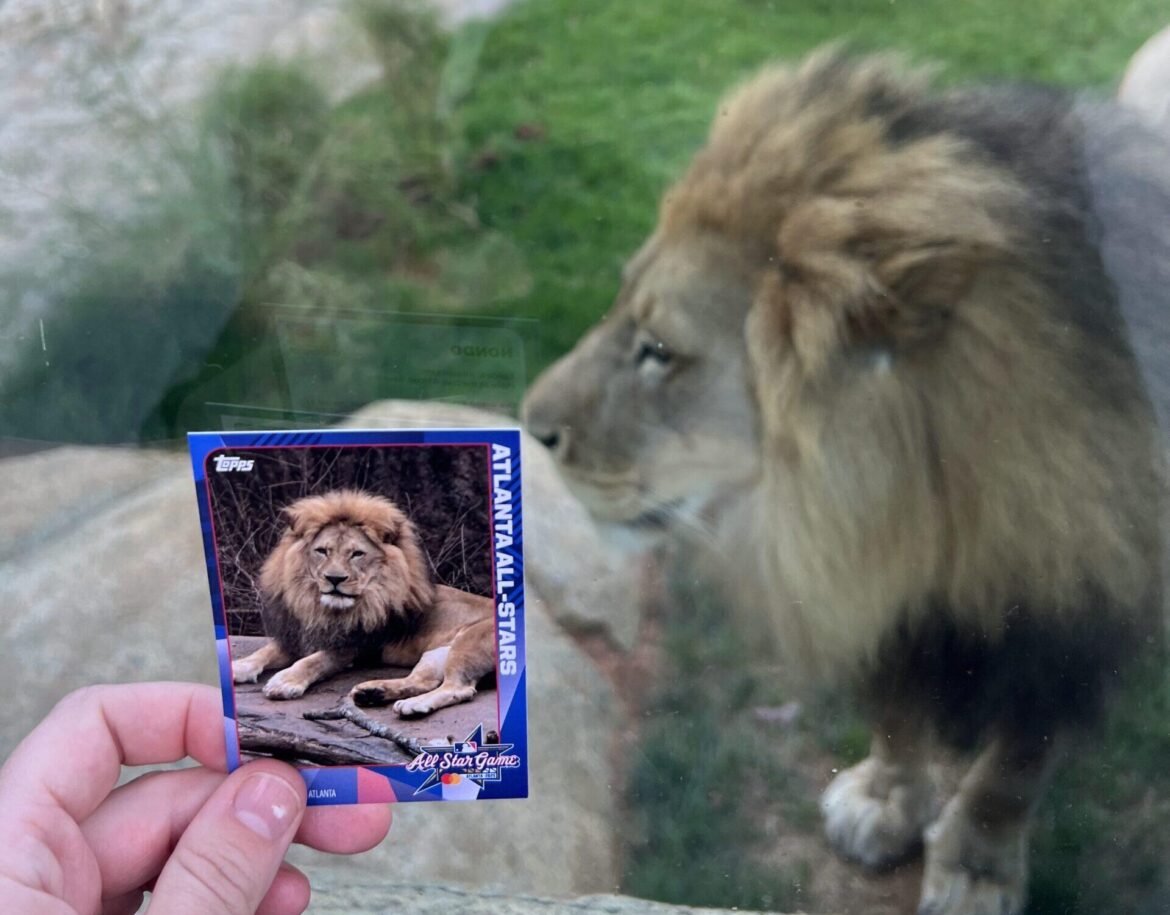 zoo-atlanta-animal-all-star-baseball-cards-zoo-atlanta.jpg Zoo Atlanta Animal All-Star Baseball Cards – Zoo Atlanta