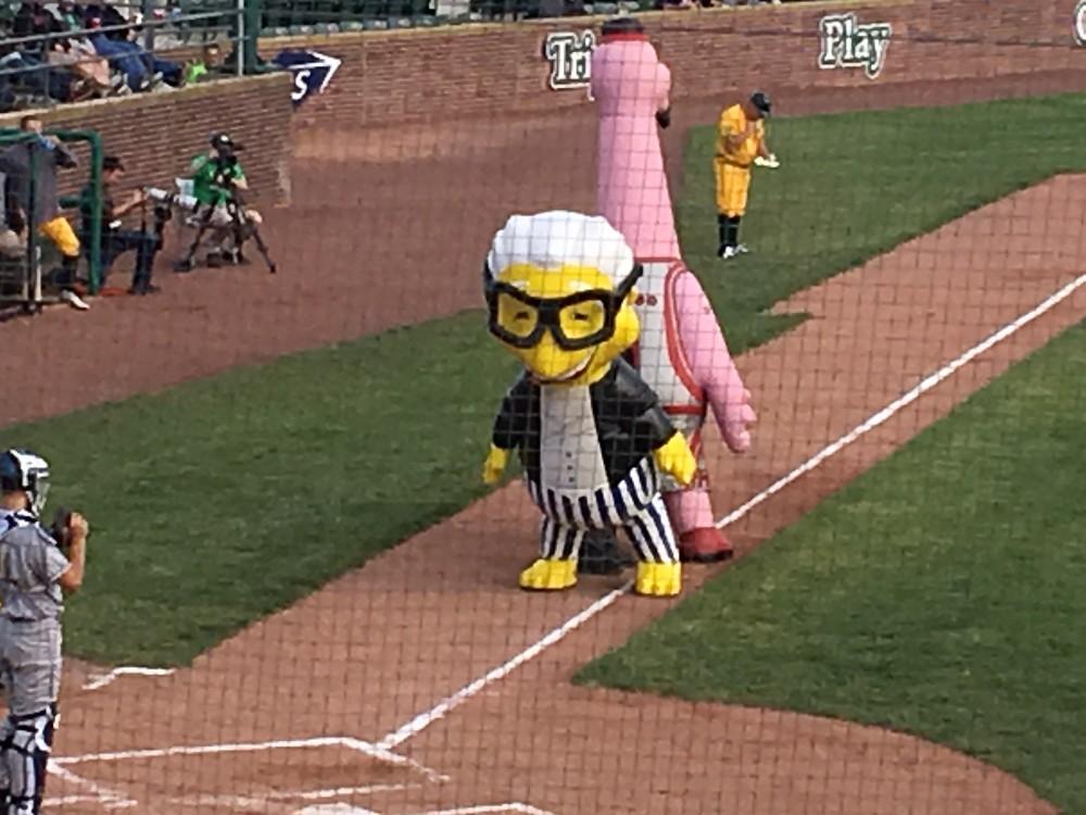 Here are the Minors’ weirdest plays and stats from the last month – MLB.com