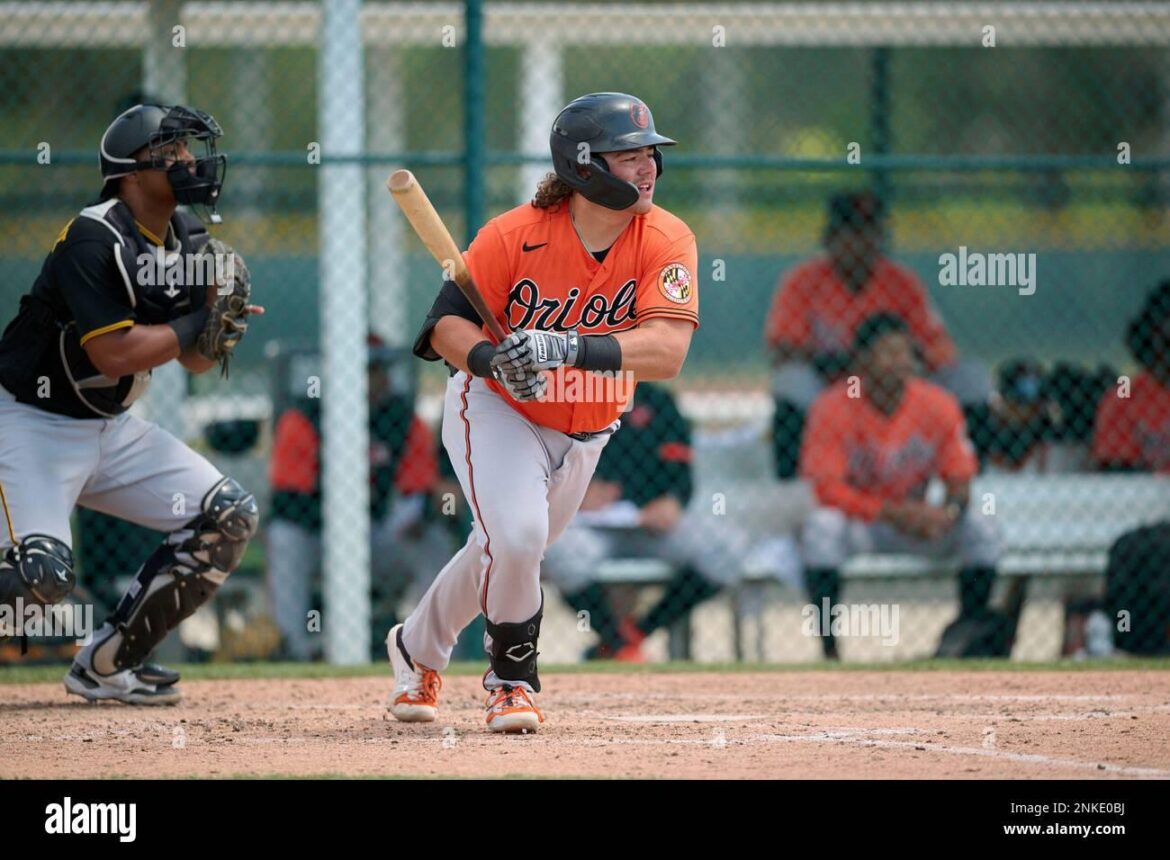 baltimore-orioles-postpone-milb-game-after-scary-incident-involving-multiple-players-sports-illustrated.jpg Baltimore Orioles Postpone MiLB Game After Scary Incident Involving Multiple Players – Sports Illustrated