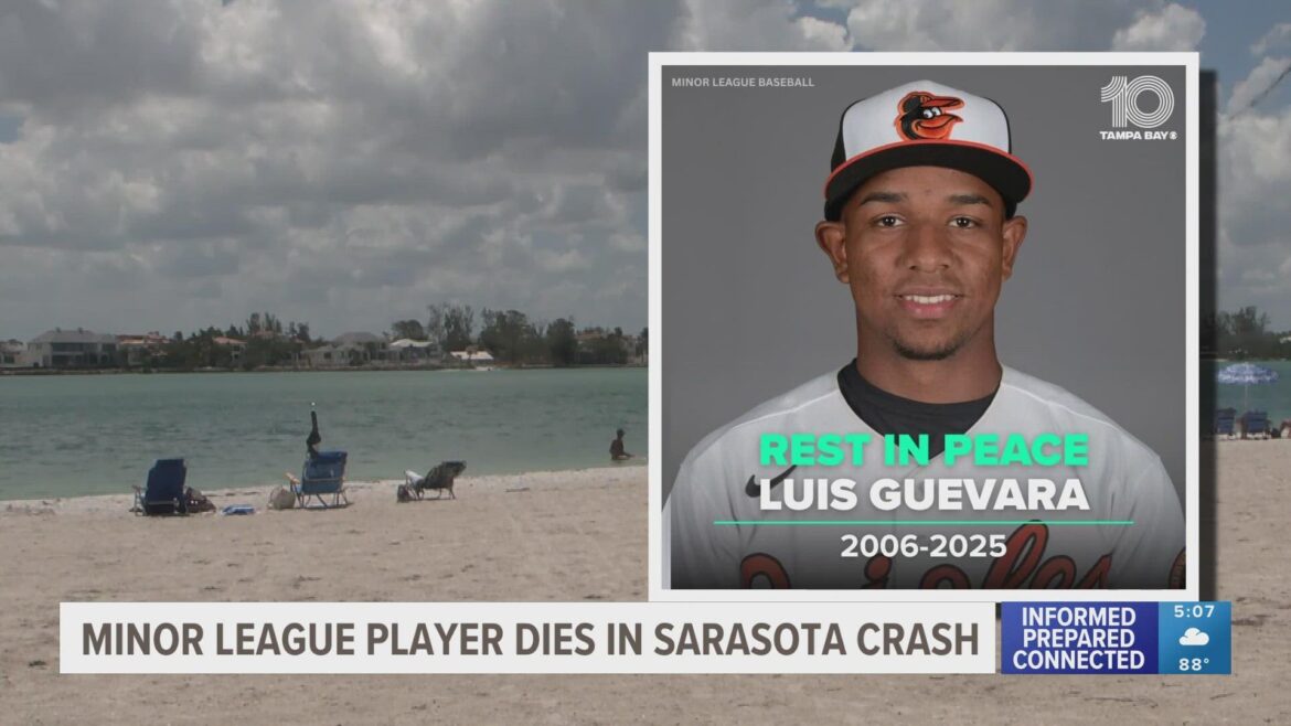 minor-league-baseball-players-involved-in-head-on-jet-ski-crash-in-lido-key-orioles-confirm-fox-13-tampa-bay.jpg Minor League Baseball players involved in head-on jet ski crash in Lido Key, Orioles confirm – FOX 13 Tampa Bay