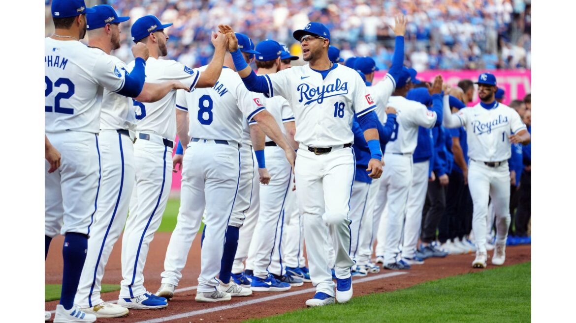 royals-blue-jays-baseball-columbia-missourian.jpg Royals Blue Jays Baseball – Columbia Missourian