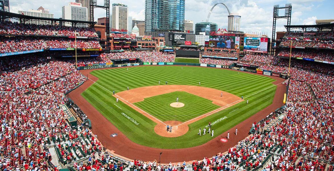 Cardinals announce marketing partnership with bet365 – MLB.com