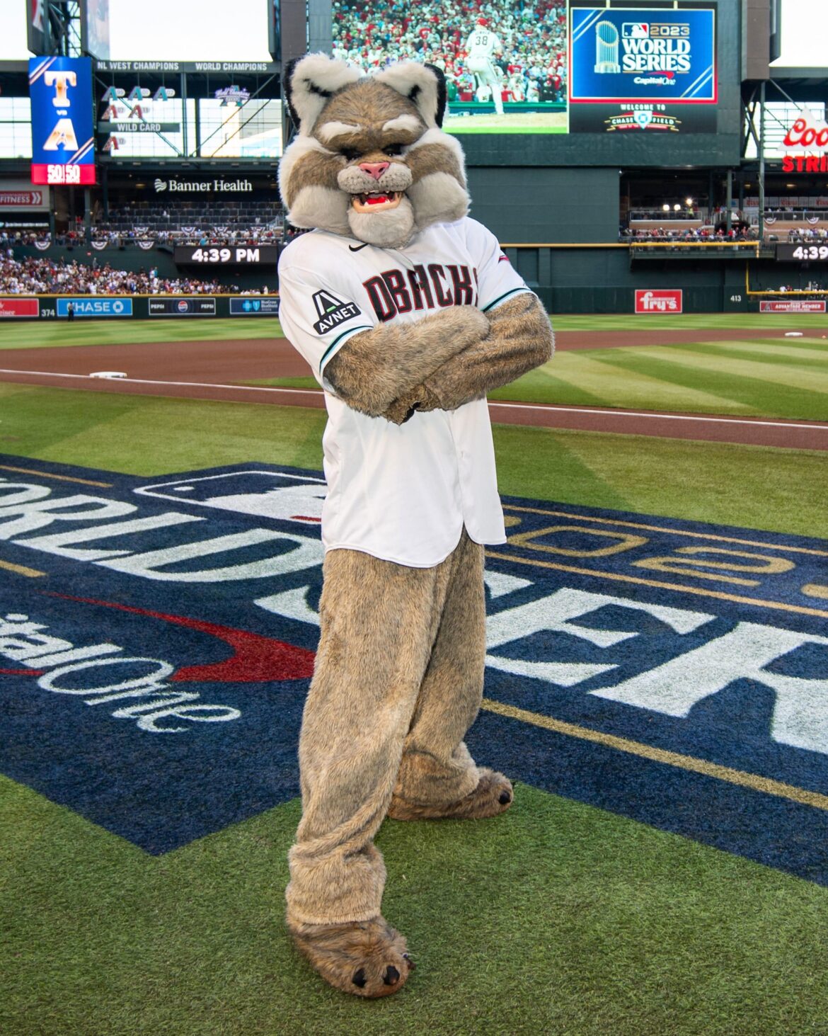 Arizona D-Backs’ Baxter crowned MLB’s sexiest mascot – Axios