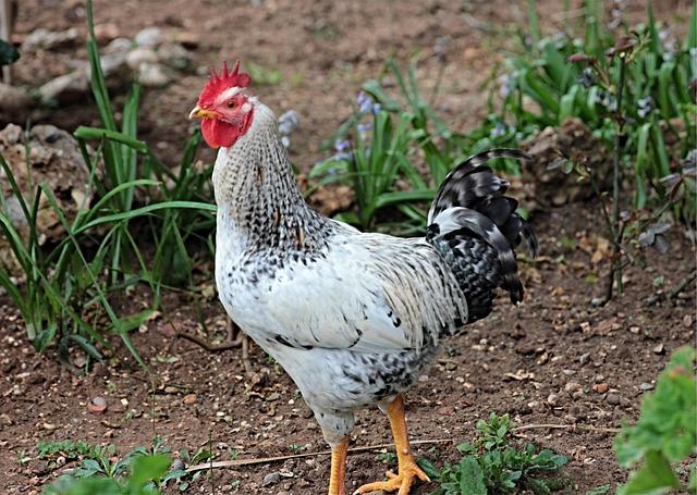 reds-make-nine-roster-moves-pick-up-reliever-from-st-louis-redleg-nation.jpg Reds make nine roster moves, pick up reliever from St. Louis – Redleg Nation