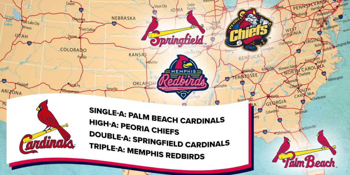 The St. Louis Cardinals’ minor league system is ranked #1 in MLB now – Viva El Birdos