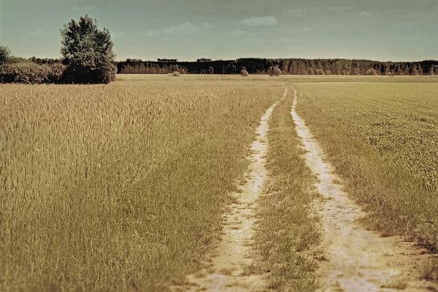 tempers-flare-in-boston-after-neris-intentional-balk-espn.jpg Tempers flare in Boston after Neris’ intentional balk – ESPN