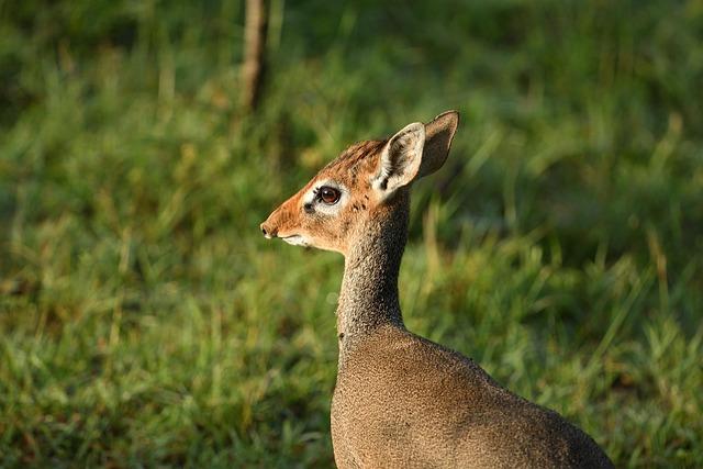 Kirk Herbstreit Praises Pirates’ PNC Park – Sports Illustrated