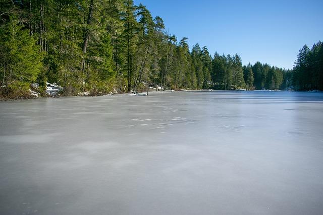 Washington Nationals brass needs to stop using 2019 as a crutch – Federal Baseball
