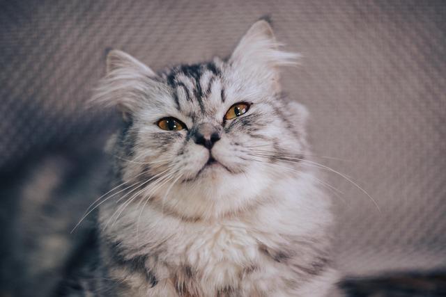 imai-doesnt-want-to-join-dodgers-he-wants-to-take-them-down-mlb-com.jpg Imai doesn’t want to join Dodgers, he wants to ‘take them down’ – MLB.com