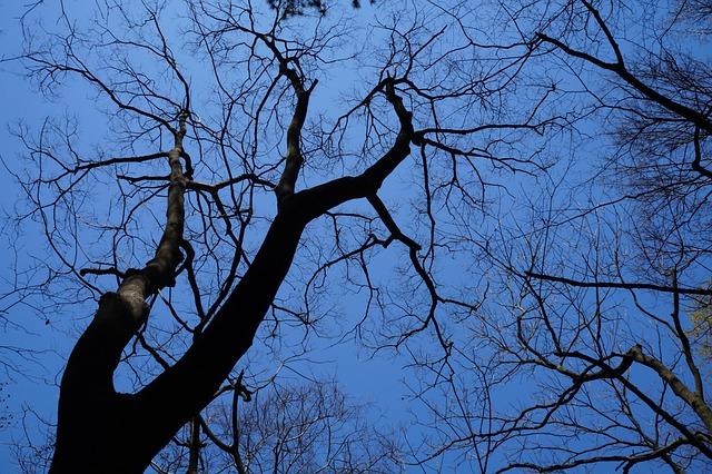 jensens-love-affair-with-hometown-finds-new-outlet-in-holiday-giveaway-mlb-com.jpg Jensen’s love affair with hometown finds new outlet in holiday giveaway – MLB.com