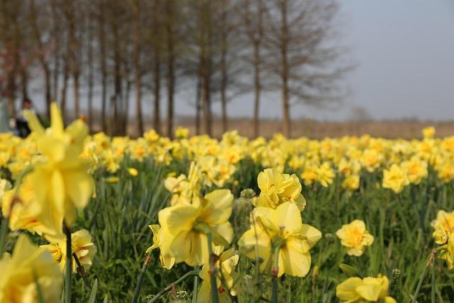 Baseball Hall of Fame: Does Phillies ace Cole Hamels belong in Cooperstown? – CBS Sports