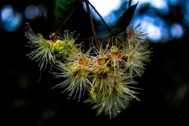 Would Eugenio Suarez REALLY shun Seattle for Pittsburgh? – Sports Illustrated