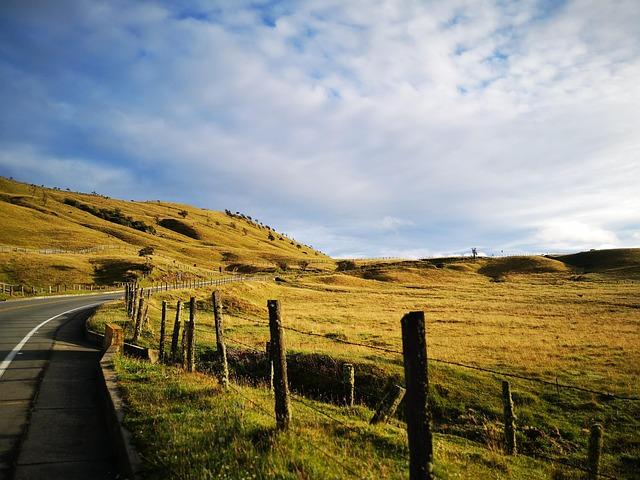 Marlins add speedster Esteury Ruiz in trade with Dodgers – MLB.com