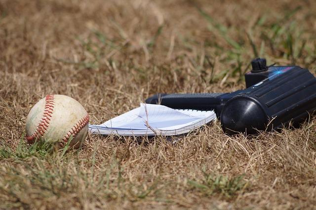 Junior Mets Baseball Camp – MLB.com