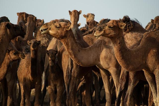 Just how invested is the current ownership group in the future of the Nationals? – District on Deck