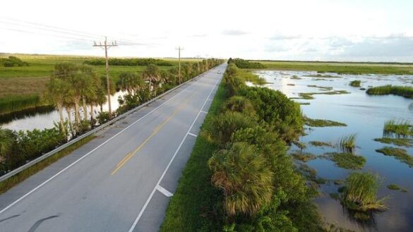 Realmuto ranks among best potential free-agent catching options for Phils – MLB.com